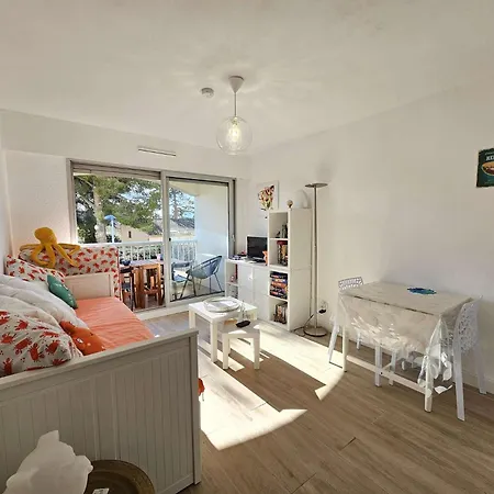 Cosy, Wifi, Climatiseur, A Pied Saint-Elme